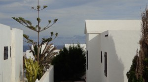 A views terrace