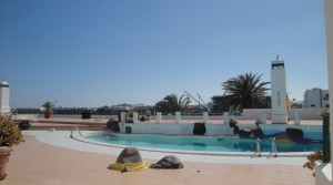 terraza a piscina